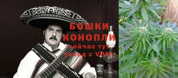 прущие грибы Покровск