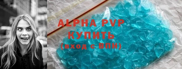 прущие грибы Покровск